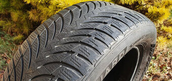 NEXEN WINGUARD, ZIMNA, CELOROCNA, 225/55 R16, 95H, M+S, vloc