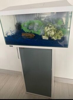 Komplet akvarium
