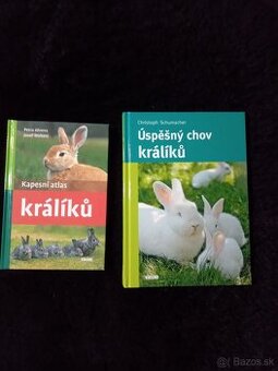 Králiky