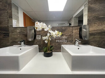 NOVÉ BYTY  (F566-112-ANM)