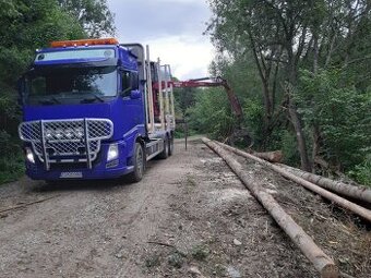 Volvo lesovoz auto do lesa