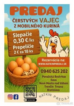 Prepeličie vajíčka a domáce slepačie vajcia