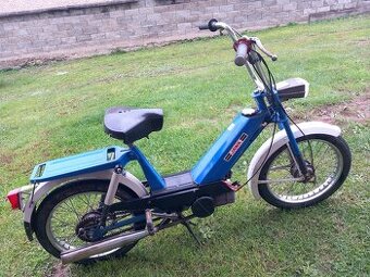 Predam Babetu 207