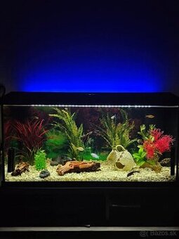 Akvarium Juwel 125 L