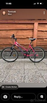 Predam horsky damsky bicikel