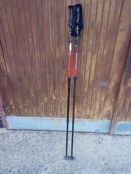 Nordic walkingove palice