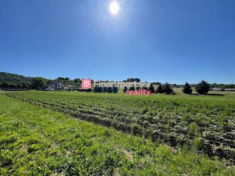 Vynikajúci veľký stav. pozemok-Svinia. IS áno (F632-14-ANM)