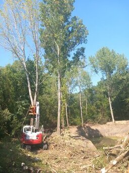 Profesionálne výrubové, zemné, výkopové práce