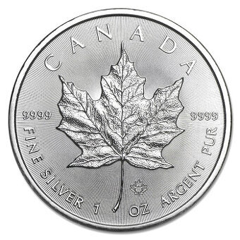 Strieborná minca Canadian Maple Leaf 1 oz (2019)