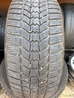 225/55r17 Zimne sava