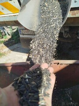 Predám slnecnicu pre papagáj, andulky, holuby