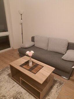 Garsonka, 1. izbovy byt Kuzmanyho sidl.