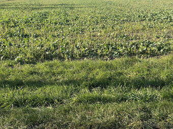 IIBA U NÁS   Na predaj investičný pozemok na výstavbu 1 ro