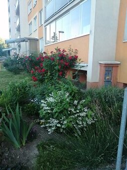 REZERVE  INVESTÍČNY V ÚPLNEJ BLÍZKOSTI  MAGISTRATU