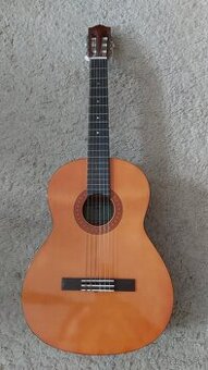 Predam gitaru