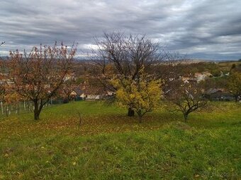 Na predaj krásny rozľahlý pozemok pod lesom, Cerová.