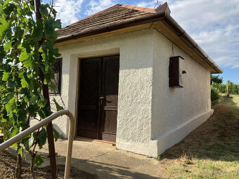 Predám vinicu v osobnom vlastníctve - 1