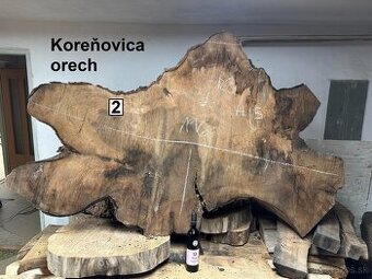 Vysušené orechové ,dubové, jaseňové koláče / priečne rezy