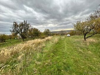 Ponúkam Vám na predaj krásny pozemok na výstavbu s vinicou