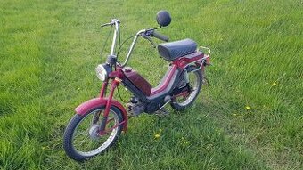 Predam babetu 210