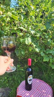 Domace vino z ciernych ribezli