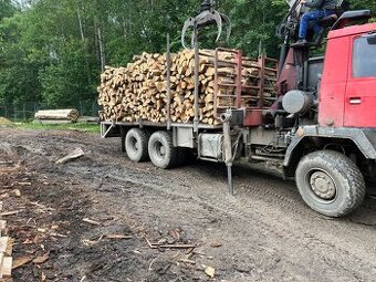Palivové drevo buk