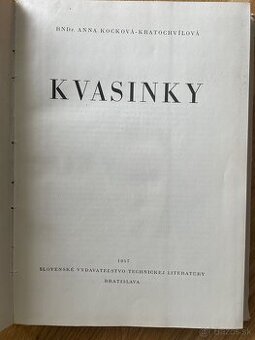 Kvasinky