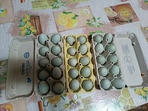 Arakanda divokosfarbená nasadbové vajcia