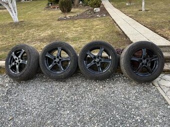 Hlinikove disky R17