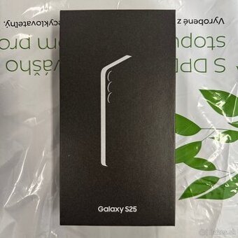 Samsung Galaxy S25 12/256Gb Silver Shadow