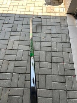 CCM ribcor team