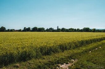 Výrava – Podiely na poľnohospodárskej pôde