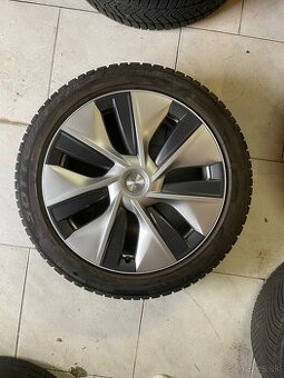 original elektrony Tesla Y 5x114,3 R19