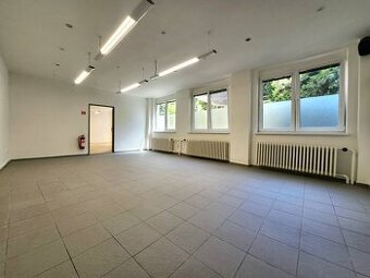 ASSENZIO - PRENÁJOM - NEBYTOVÝ PRIESTOR - 186 M² - VYSOKÁ- S
