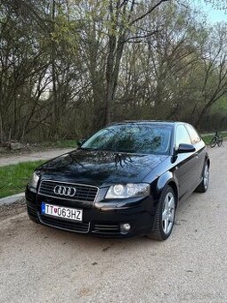 Audi a3 2.0tdi 103kw - 1
