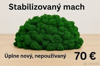 🌿 Stabilizovaný mach