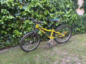 Bicykel Alpina