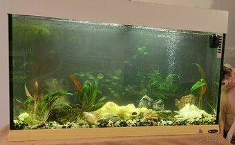 predam akvarium - 1