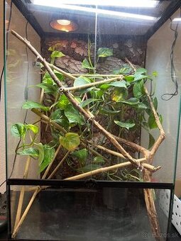 TERÁRIUM REPTI PLANET  pre chameleona