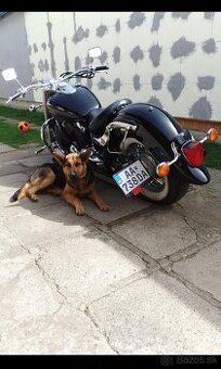Yamaha dragstar 650