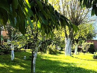 Predaj/ udržiavaná záhrada s chatkou - sad 9.mája Prievidza