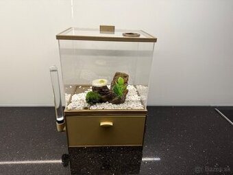 🐜 Predám formikárium + kolóniu Camponotus nicobarensis (krá