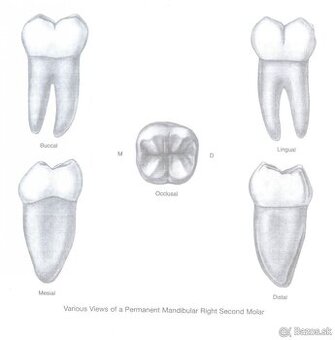 Dentálna hygiena - Prešov, podklady na prijímačky