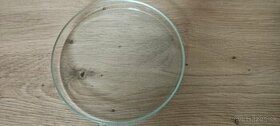 Chémia -Petriho miska a podložné sklíčka