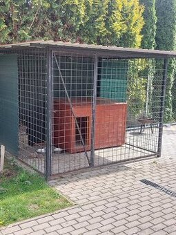 Voliera/koterec pre psa - 1