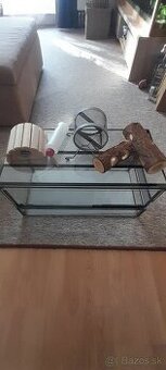 Terarium