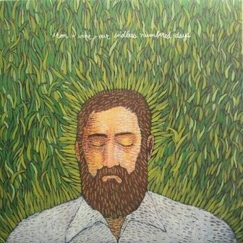 Kúpim vinyl Iron & Wine.