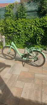 Ebike Apache Wakita Prime