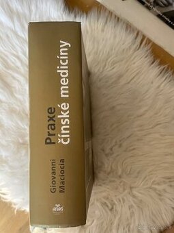 Praxe čínskej mediciny