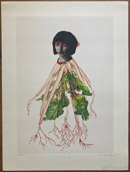 Eva Koťátková - Replanted